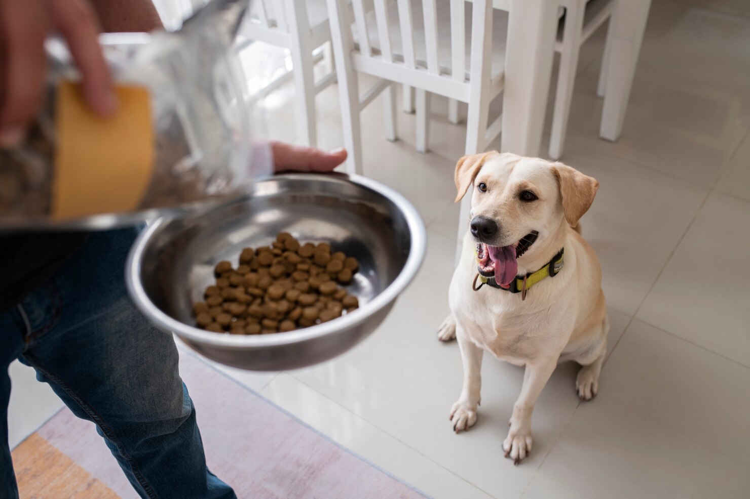найкращий корм для собак від BestPet