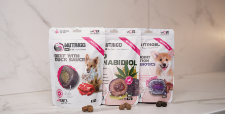ТОП лучших лакомств для собак: обзор от зоомагазина BestPet