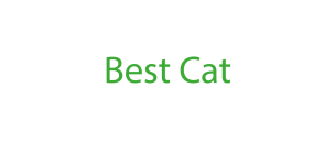 Best Cat