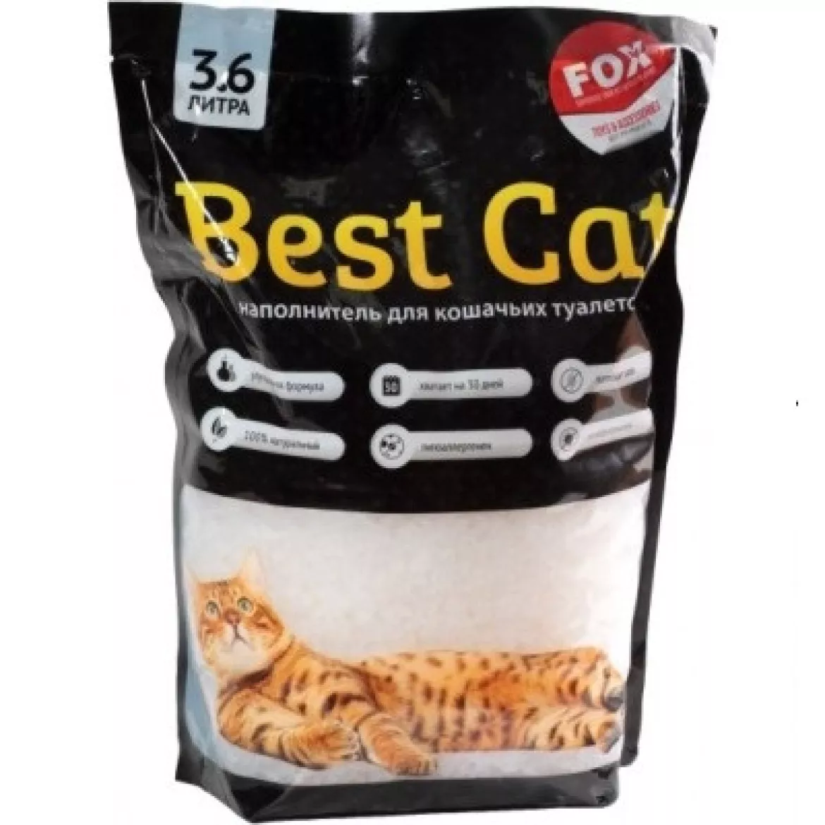 BEST CAT 3 6