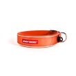 Classic XS Orange (30-33cm)