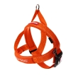 QF L Orange (67-84cm)