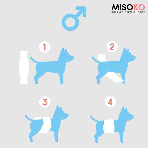 Misoko&amp;Co Багаторазовий підгузок для кобелів, XS (Франція) - 2