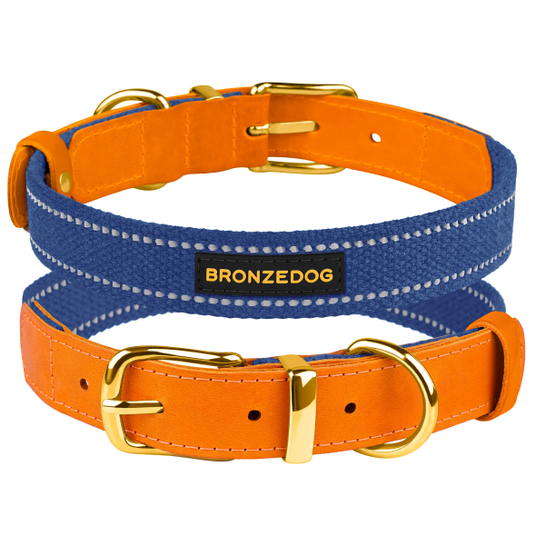 Нашийник для Собак Bronzedog Брезент + Шкіра з металевою пряжкою рудий з синім, розмір L