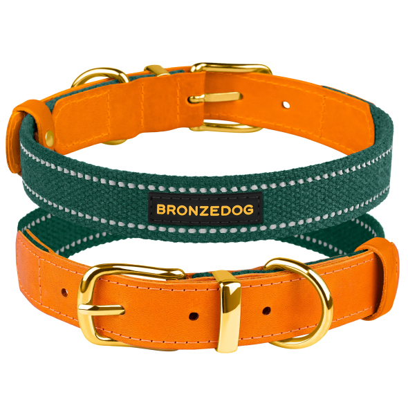 Нашийник для Собак Bronzedog Брезент + Шкіра з металевою пряжкою рудий з зеленим, розмір XL