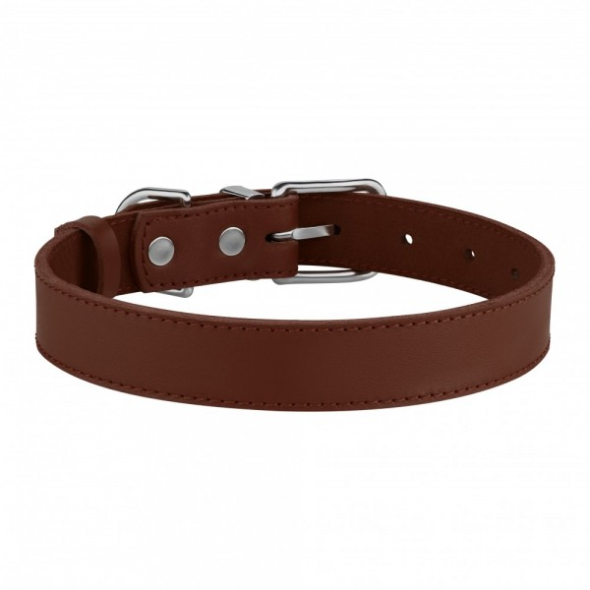 Ошейник для собак кожаный BronzeDog Classic с хромированной фурнитурой коричневый, размер S - 2
