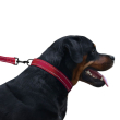 Повідець для собак BronzeDog Active зі світловідбиттям червоний, розмір M - 3