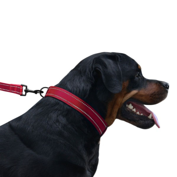 Повідець для собак BronzeDog Active зі світловідбиттям червоний, розмір M - 3