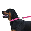 Поводок для собак BronzeDog Active со светоотражением розовый, размер S - 3