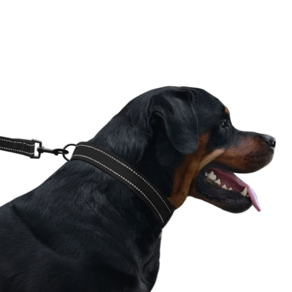 Повідець для собак BronzeDog Active зі світловідбиттям чорний, розмір М - 5