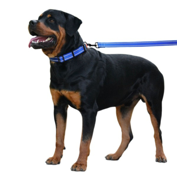 Повідець для собак BronzeDog Active зі світловідбиттям синій, розмір М - 4