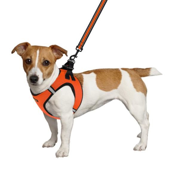 Шлея для собак BronzeDog Mesh Vest с 3D сеткой оранжевая, размер S - 2