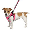 Шлея для собак BronzeDog Mesh Vest с 3D сеткой розовая, размер M - 2