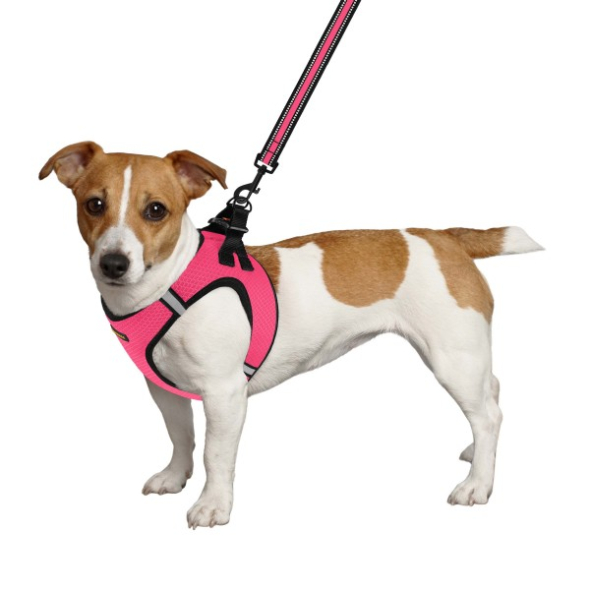 Шлея для собак BronzeDog Mesh Vest с 3D сеткой розовая, размер M - 2