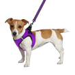 Barksi Mesh Vest Шлея для собак з 3D сіткою фіолетова, розмір XS - 2