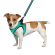Шлея для собак BronzeDog Mesh Vest с 3D сеткой ментоловая, размер XS - 2