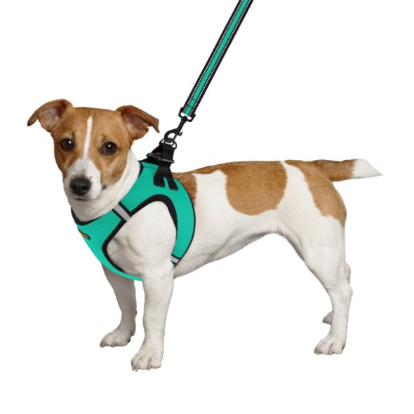 Шлея для собак BronzeDog Mesh Vest с 3D сеткой ментоловая, размер XS - 2