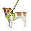 Шлея для собак BronzeDog Mesh Vest з 3D сіткою лимонна, розмір М - 2