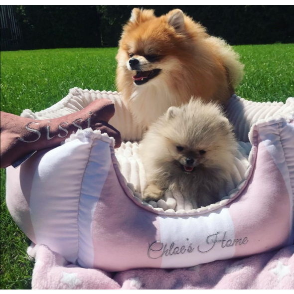 Chloe&#039;s Home Лежак для домашних животных Monte Carlo розовый S - 1