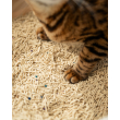 VELVET PAW TOFU Наповнювач для котячих туалетів з бентонітом, оригінальний, гранули 2 мм, 6 л/2,6 кг - 5