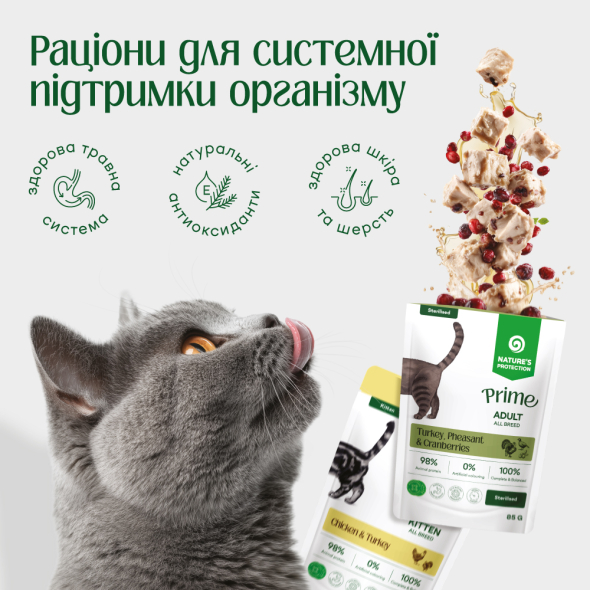 Nature's Protection Prime Kitten Chicken and Turkey Вологий корм для кошенят з куркою та індичкою, 85 г - 1