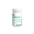 Dolfos ChitoFos (ХитоФос) Препарат для поддержки работы почек собак и кошек 60 таблеток
