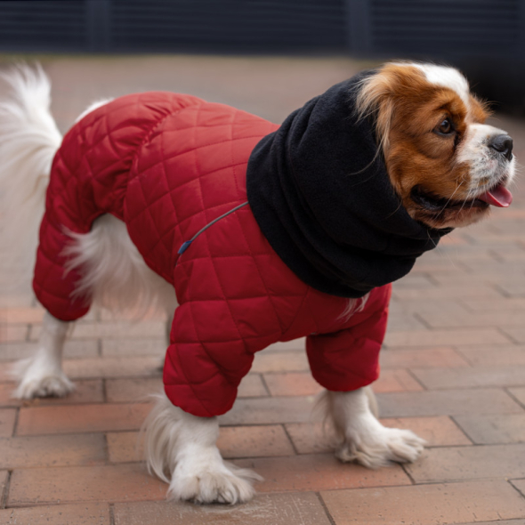 Barksi Textile Комбінезон для собак червоний, M - 4