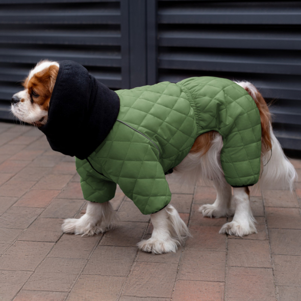 Barksi Textile Комбінезон для собак зелений, S - 1