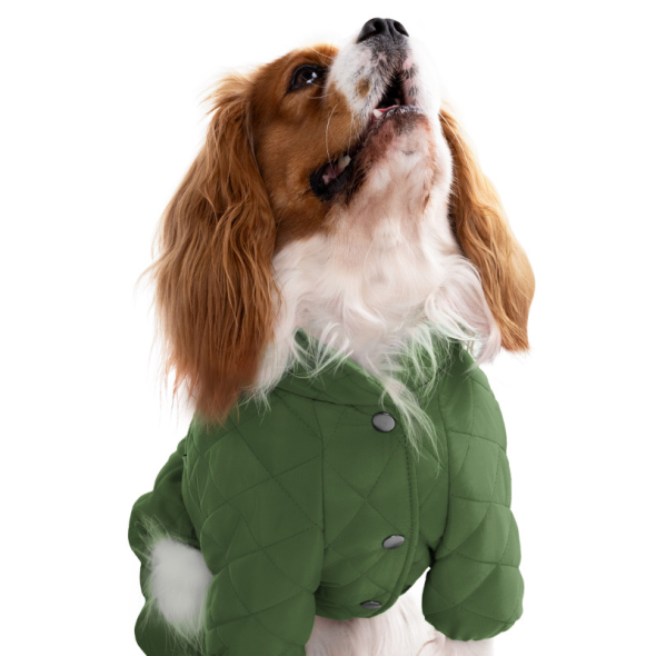 Barksi Textile Комбінезон для собак зелений, S - 5