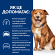 Hill's Prescription Diet Derm Complete Сухой лечебный корм для собак всех пород с рисом и яйцом при атопическом дерматите и пищевой аллергии 4 кг - 4