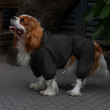Barksi Textile Комбінезон-дощовик для собак чорний, M - 1