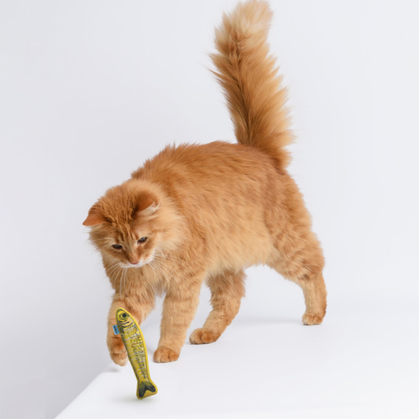 Barksi Іграшка для котів рибки-шпроти з котячою м'ятою та дзвіночком, 3 шт, 16,5 см - 1