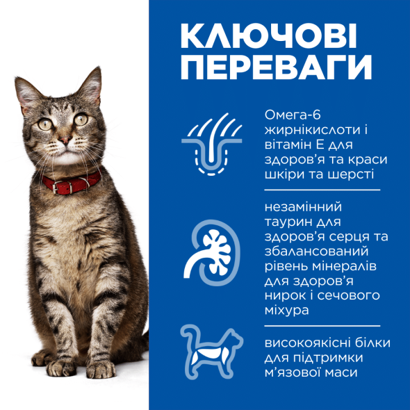 Hill's Science Plan Adult Вологий корм для котів з індичкою,  85 г - 1