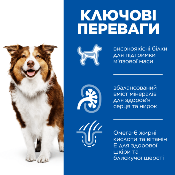 Hill's Science Plan Mature Adult 7+ Medium Сухой корм для зрелых собак средних пород от 7 лет с ягненком и рисом 2,5 кг - 1
