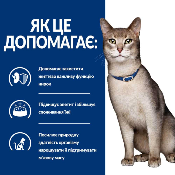 Hill's Prescription Diet k/d Kidney Care Вологий лікувальний корм для котів для підтримки функції нирок з куркою, 85 г - 2