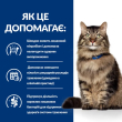 Hill's Prescription Diet Gastrointestinal Biome Сухий лікувальний корм з куркою для котів при розладах травлення та діареї  3 кг - 3