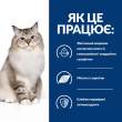 Hill's Prescription Diet j/d Mobility Сухой лечебный корм для кошек с курицей, уменьшение боли и воспаление в суставах 1,5 кг - 3