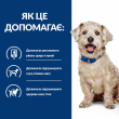 Hill's Prescription Diet w/d Diabetes Care Сухой лечебный корм для собак с курицей, регулирующий поступление глюкозы при сахарном диабете и ожирении 10 кг - 4