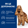Hill's Prescription Diet Food Sensitivities Сухой лечебный корм для собак с чувствительным пищеварением и при пищевой аллергии 3 кг - 4