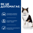 Hill's Prescription Diet y/d Thyroid Care Сухой лечебный корм для кошек для поддержания здоровья щитовидной железы при гипертиреозе 3 кг - 3