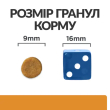 Hill's Prescription Diet k/d Kidney Care Chicken Сухий лікувальний корм з куркою для котів із захворюваннями нирок 300 г - 4