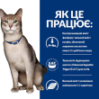 Hill's Prescription Diet k/d Kidney Care Chicken Сухий лікувальний корм з куркою для котів із захворюваннями нирок 300 г - 3