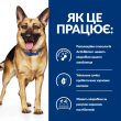 Hill's Prescription Diet Gastrointestinal Biome Сухой лечебный корм с курицей для собак при расстройствах пищеварения и диареи 10 кг - 2