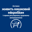 Hill's Prescription Diet Gastrointestinal Biome Сухой лечебный корм с курицей для собак при расстройствах пищеварения и диареи 10 кг - 4