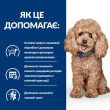 Hill's Prescription Diet Gastrointestinal Biome Mini Сухий лікувальний корм з куркою для собак маленьких порід при розладах травлення та діареї 3 кг - 3