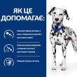 Hill's Prescription Diet Urinary Care Сухой лечебный корм для собак с заболеваниями мочевыделительной системы, 4 кг - 4
