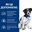 Hill's Prescription Diet i/d Stress Mini Сухий лікувальний корм для собак малих порід з куркою при розладах травлення, викликаних стресом та ентеропатією 1 кг - 4