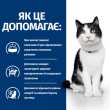 Hill's Prescription Diet i/d Digestive Care Вологий лікувальний корм для котів при захворюваннях системи травлення з лососем, 85 г - 2