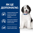 Hill's Prescription Diet Multicare Urinary Care Сухой лечебный корм с курицей для собак при мочекаменной болезни 4 кг - 2