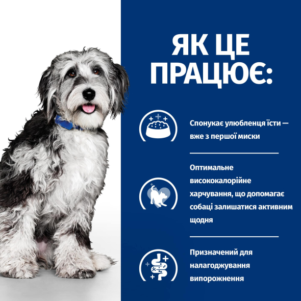 Hill's Prescription Diet ON-Care Сухой лечебный корм с курицей для собак, страдающих тяжелыми заболеваниями, период восстановления после операций и при онкологиях 1,5 кг - 1